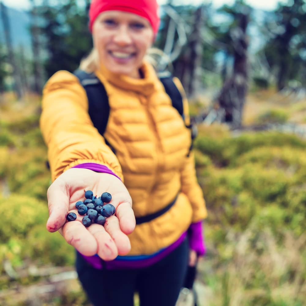 shutterstock_231111070.jpg a woman with hiking gear holding out a handful of blueberries